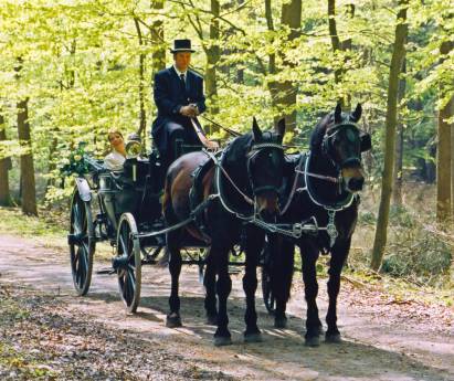 Landauer -Kutsche Zweispännig