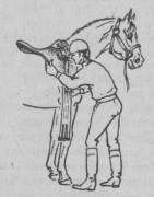 Satteln eines Pferdes