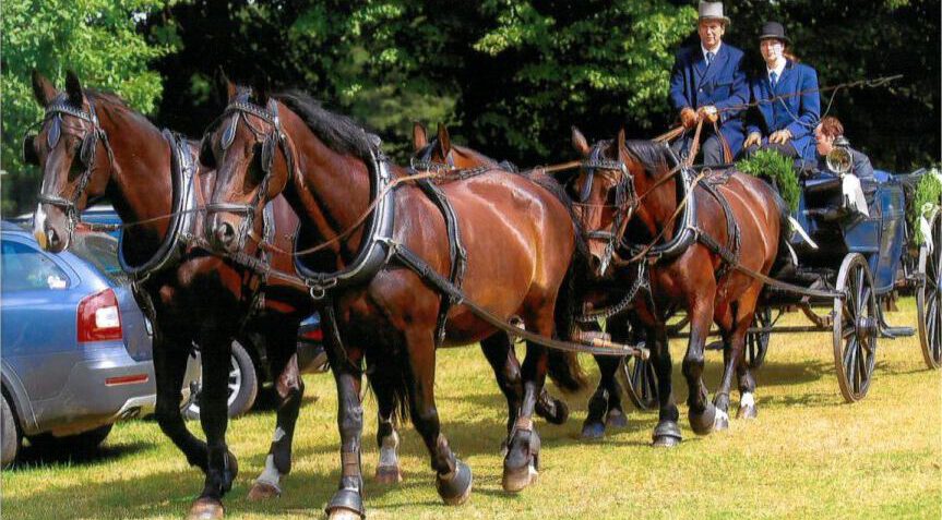 Hochzeitskutsche 4-Spännig gefahren