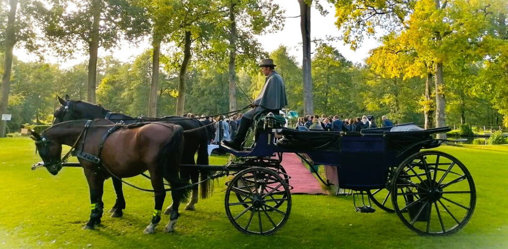 Hochzeitskutsche_Fuhrhalterei Werner Herrig