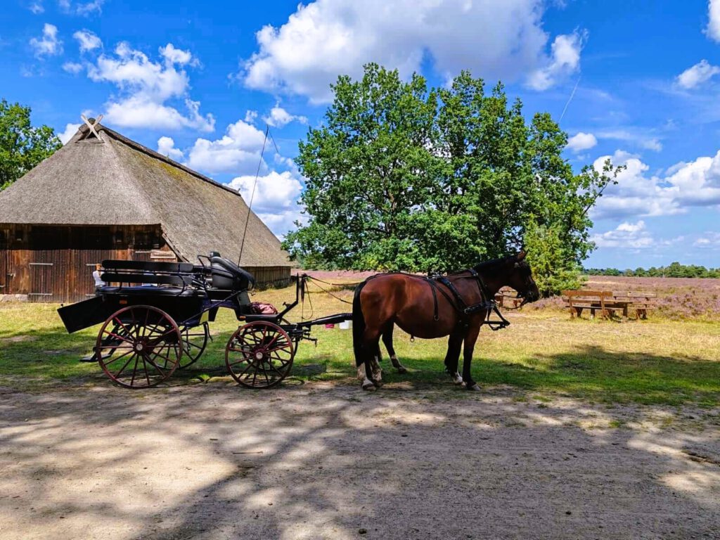 Kutsche vor historischem Schafstall_Lüneburger Heide_Fuhrhalterei Werner Herrig
