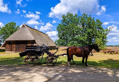 Mit der Kutsche in die Lüneburger Heide